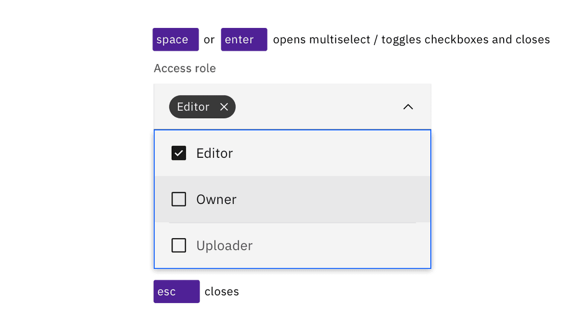 Space and Enter keys open multiselects and toggle the selection of checkbox options. Esc closes.